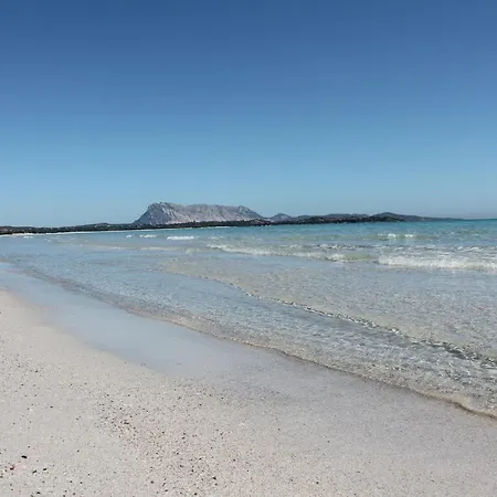 Bilo Fronte Spiaggia 50m Affitti *